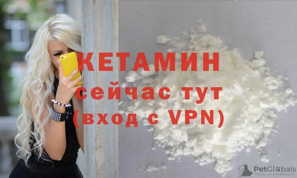 шишки Заводоуковск