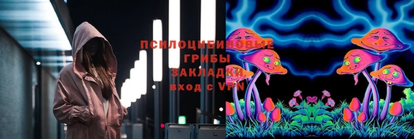 шишки Заводоуковск