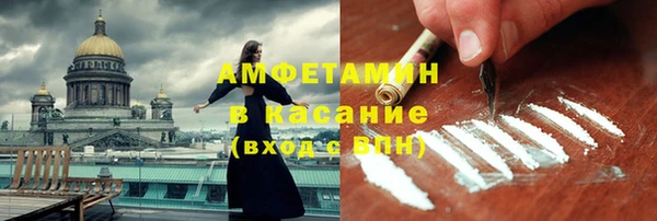 шишки Заводоуковск