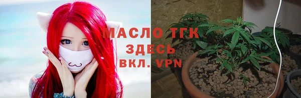 шишки Заводоуковск