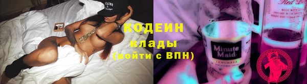 шишки Заводоуковск