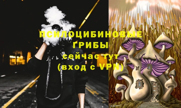 шишки Заводоуковск