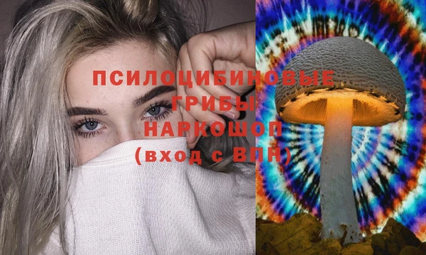 дурь Заволжск
