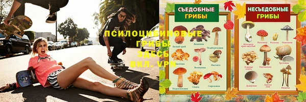 шишки Заводоуковск