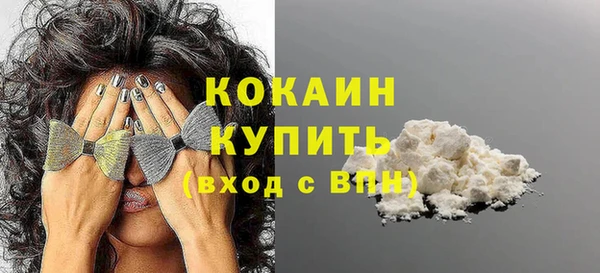шишки Заводоуковск