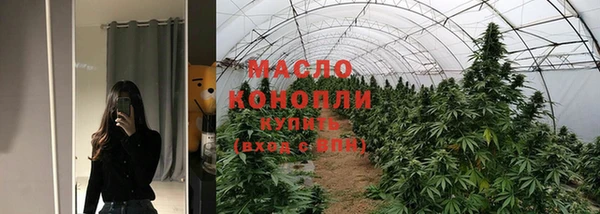 шишки Заводоуковск